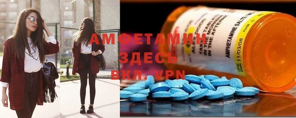 ECSTASY Богданович