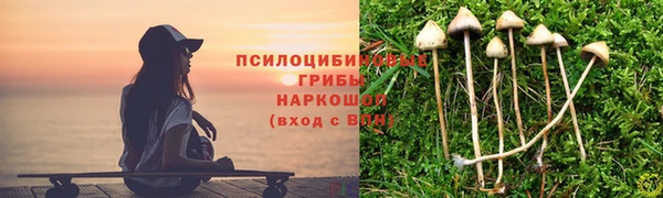 каннабис Белокуриха