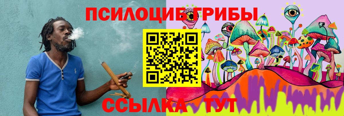 Псилоцибиновые грибы Psilocybine cubensis  Вход с VPN  Галлюциногенные грибы Psilocybe  Кстово 